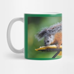 Variegated Squirrel Mug